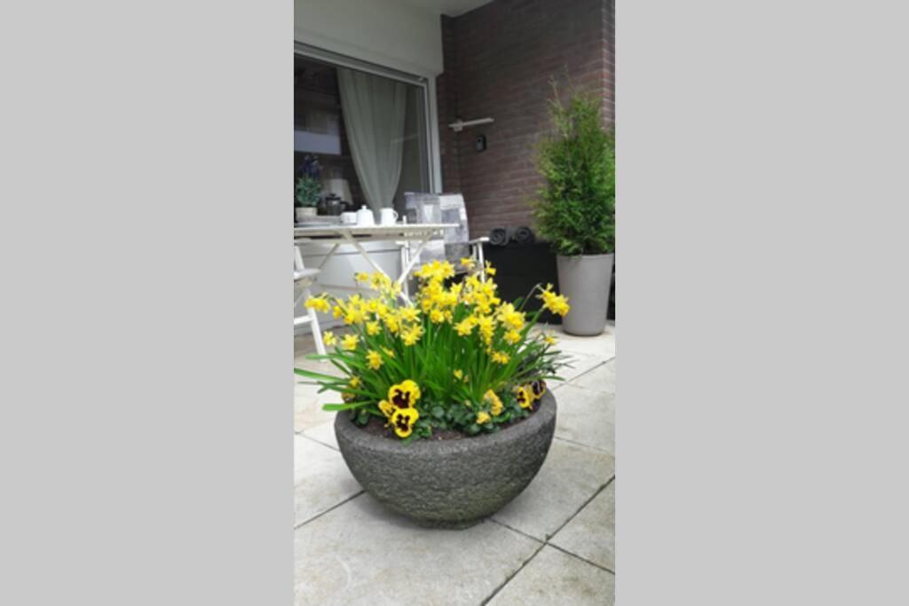 1 Zimmer Appartement Cap Arcona Neustadt in Holstein Esterno foto