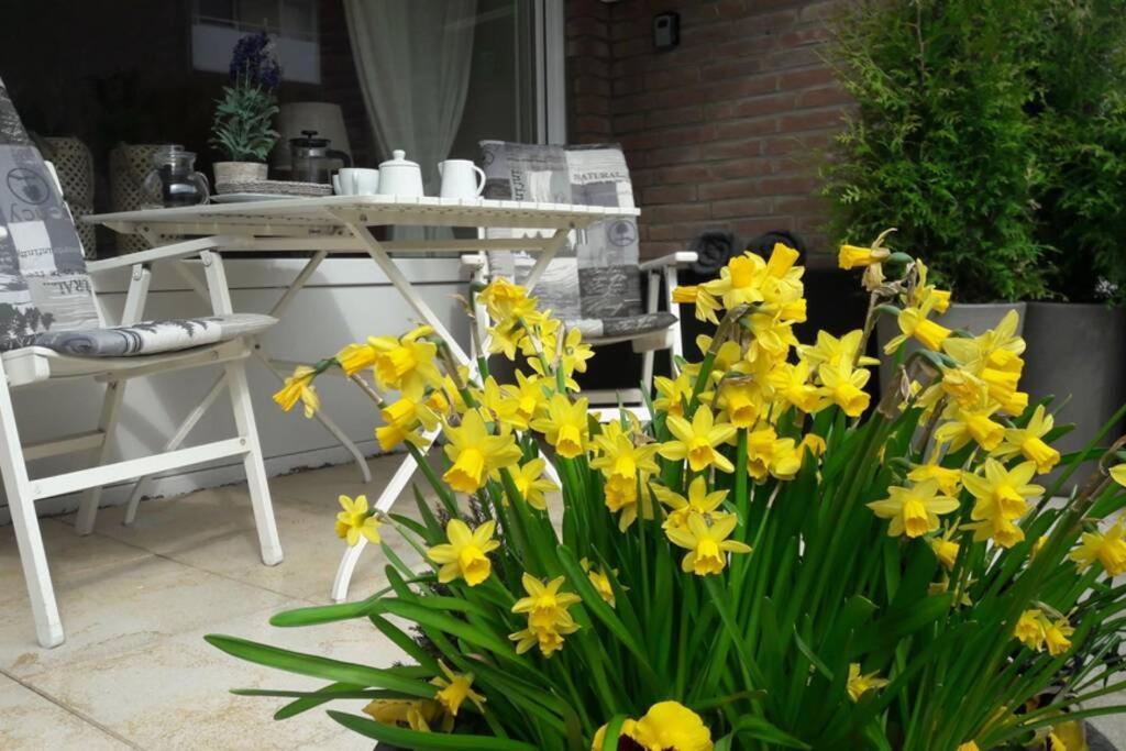 1 Zimmer Appartement Cap Arcona Neustadt in Holstein Esterno foto